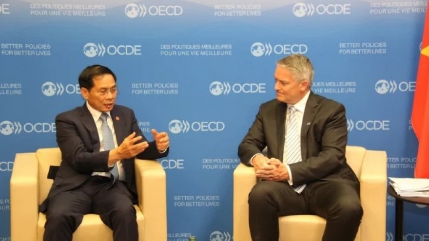 Vietnam seeks broader cooperation with OECD